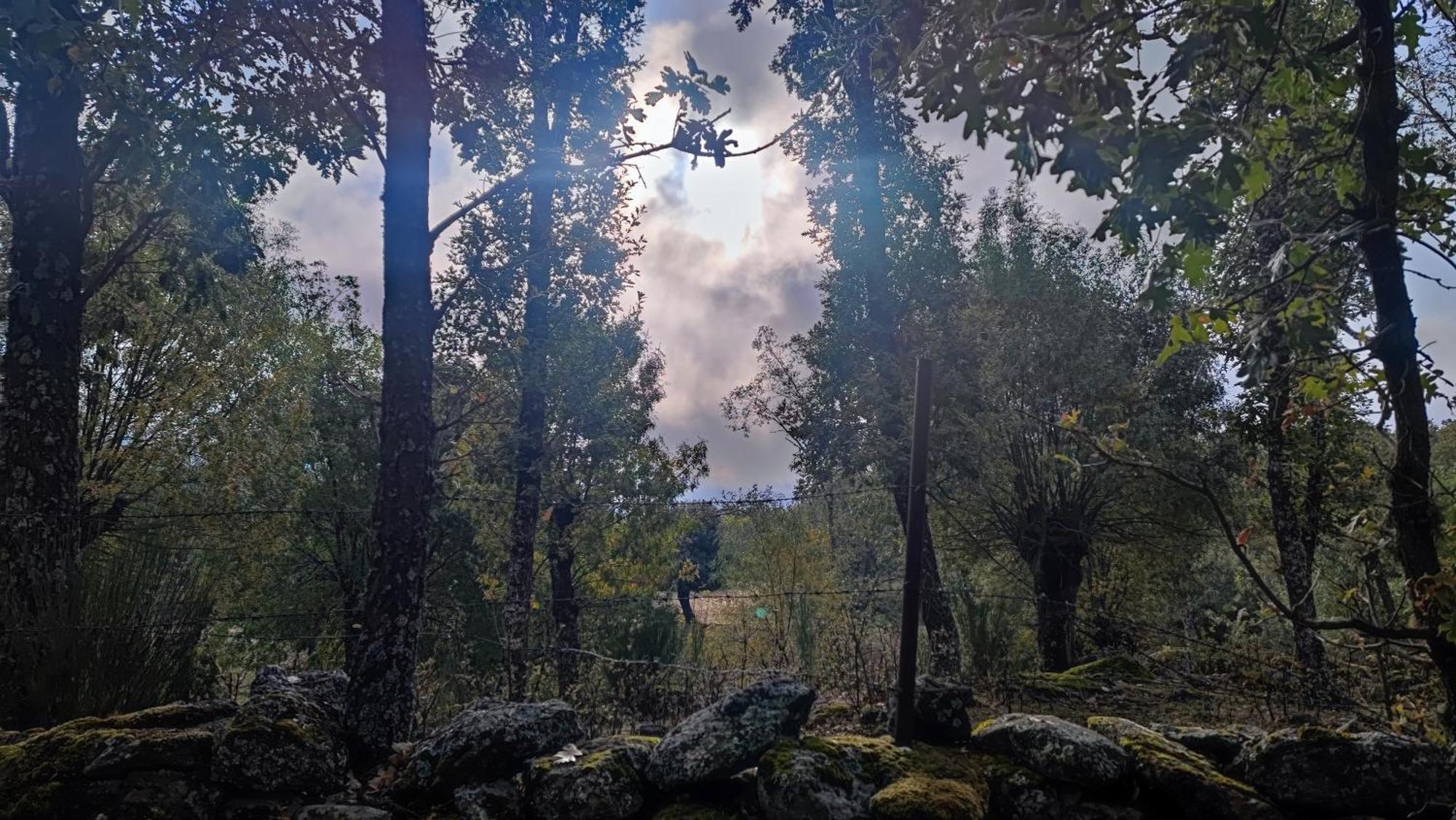 El Rincon De Gredos Konuk evi Navaluenga Dış mekan fotoğraf